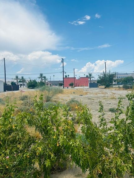 Farm Property for sale in Riverside County, California