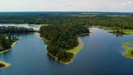 Ranch Property for sale in Beltrami County, Minnesota