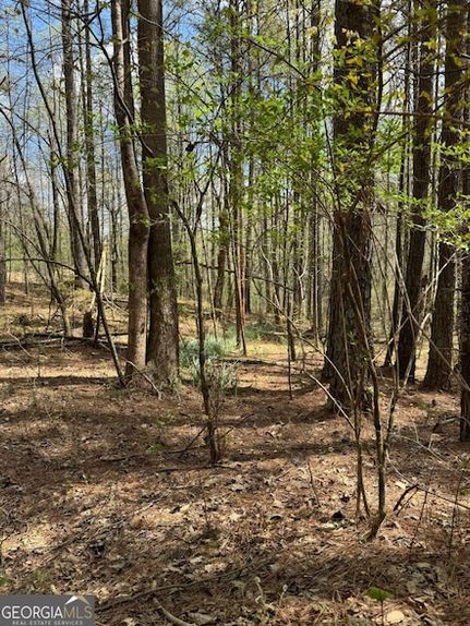 Farm Property for sale in Gilmer County, Georgia
