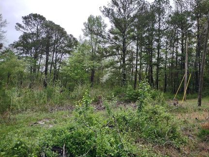Timberland Property for sale in Walker County, Georgia