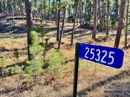 Farm Property for sale in Custer County, South Dakota