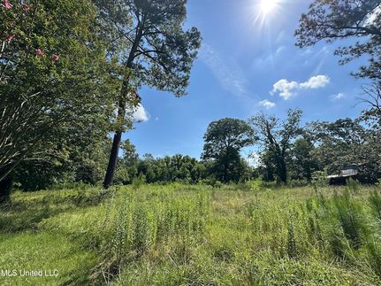 Undeveloped Land for sale in Scott County, Mississippi