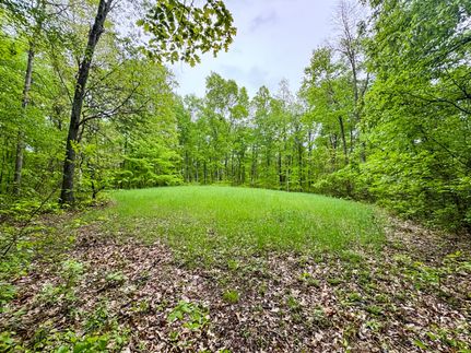 Undeveloped Land for sale in Athens County, Ohio
