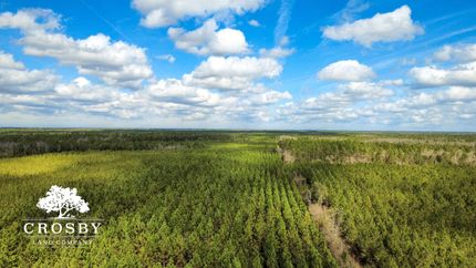Farm Property for sale in Long County, Georgia