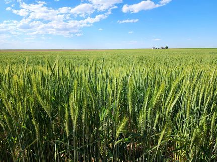 Farm Property for sale in Cheyenne County, Nebraska