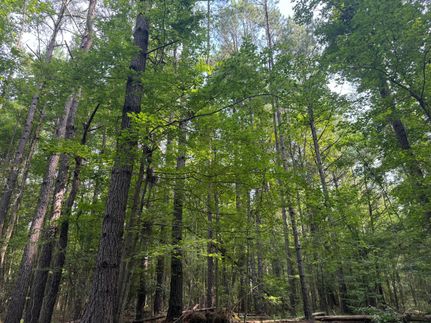 Recreational Property for sale in Grant Parish, Louisiana