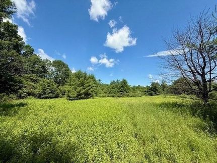 Ranch Property for sale in Greene County, New York
