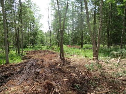Farm Property for sale in Lewis County, New York