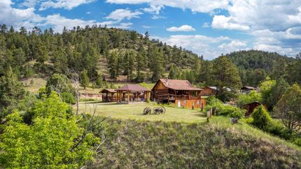 Farm Property for sale in Custer County, South Dakota