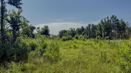 Ranch Property for sale in Calhoun County, Arkansas
