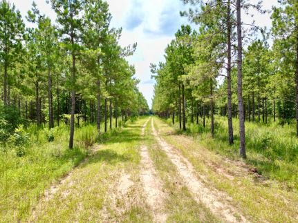 Ranch Property for sale in Randolph County, Georgia