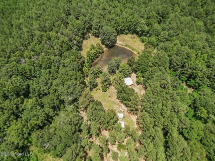 Recreational Property for sale in Pike County, Mississippi