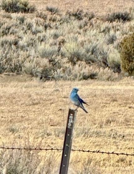 Farm Property in Rio Arriba County, New Mexico