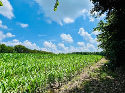 Recreational Property for sale in Adair County, Kentucky