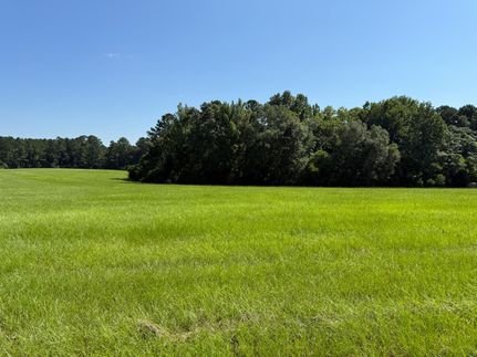 Recreational Property for sale in Dale County, Alabama