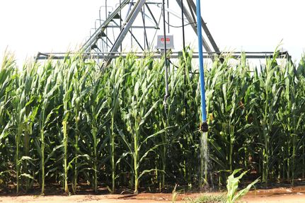 Property for sale in Hale County, Texas