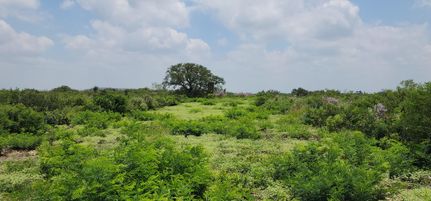 Farm Property for sale in Uvalde County, Texas