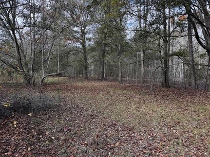 Property for sale in Decatur County, Georgia