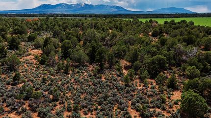 Farm Property for sale in San Juan County, Utah