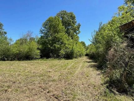Timberland Property for sale in Amite County, Mississippi