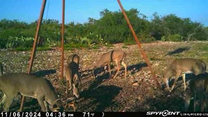 Ranch Property for sale in Uvalde County, Texas