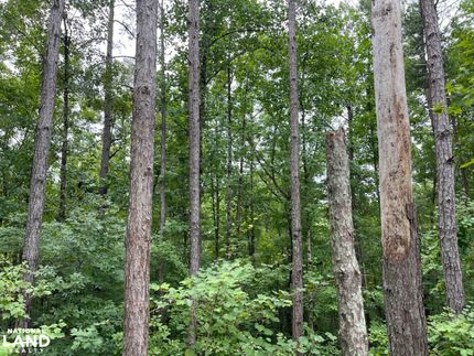 Recreational Property in Tuscaloosa County, Alabama
