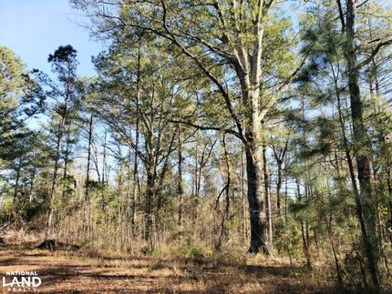 Farm Property for sale in Bullock County, Alabama