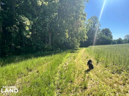 Farm Property in New Kent County, Virginia
