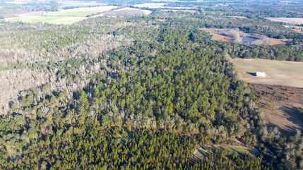 Hunting Land for sale in Jackson County, Florida