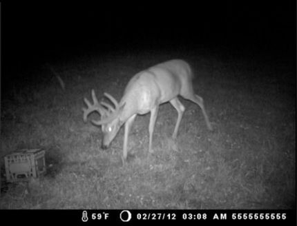 Farm Property in Itasca County, Minnesota