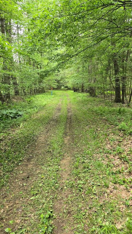 Hunting Land for sale in Warren County, Pennsylvania