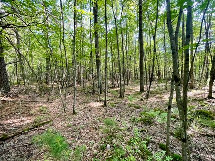 Ranch Property for sale in Clark County, Wisconsin