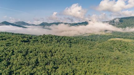 Farm Property for sale in Botetourt County, Virginia