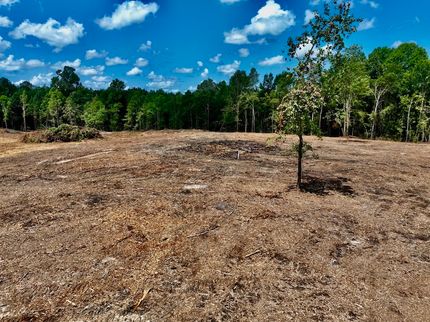 Farm Property for sale in Marion County, Mississippi