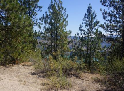 Farm Property for sale in Lincoln County, Washington