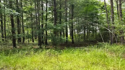 Commercial Property for sale in Laurens County, Georgia