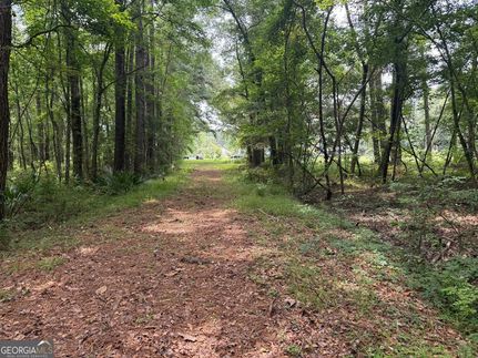 Farm Property for sale in McIntosh County, Georgia