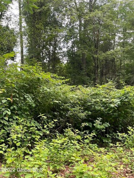 Undeveloped Land for sale in Warren County, New York