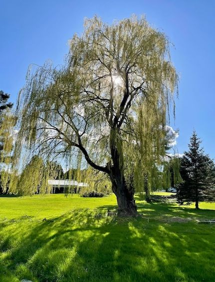 Undeveloped Land for sale in Saint Lawrence County, New York
