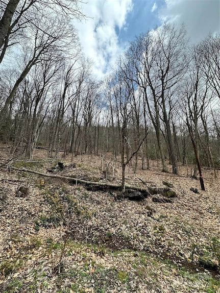 Farm Property for sale in Haywood County, North Carolina