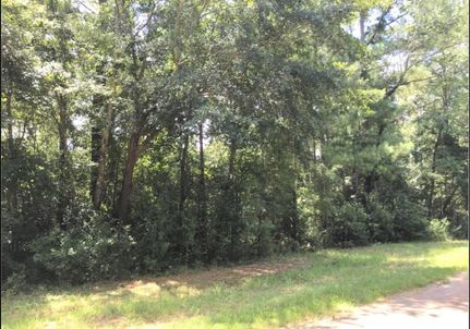 Ranch Property for sale in Lee County, Georgia