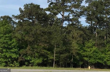 Undeveloped Land for sale in Lee County, Georgia