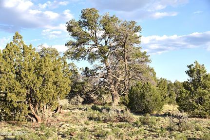 Ranch Property for sale in Coconino County, Arizona