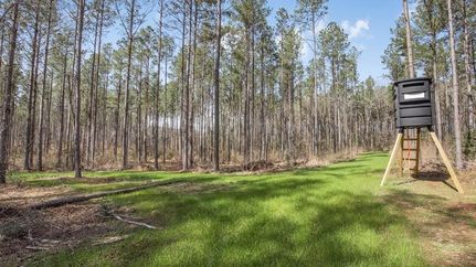 Undeveloped Land for sale in Amite County, Mississippi