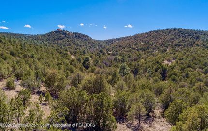 Undeveloped Land for sale in Lincoln County, New Mexico