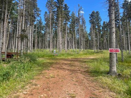 Ranch Property for sale in Colfax County, New Mexico