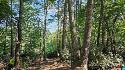 Ranch Property for sale in Yancey County, North Carolina