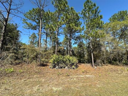Timberland Property for sale in Citrus County, Florida