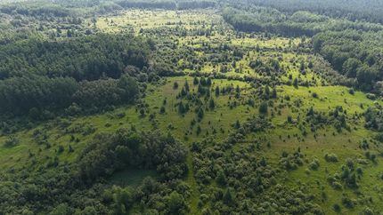 Recreational Property for sale in Koochiching County, Minnesota