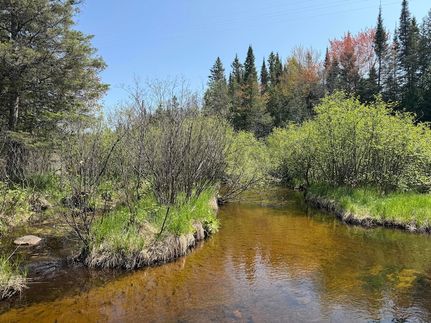 Recreational Property for sale in Chippewa County, Michigan